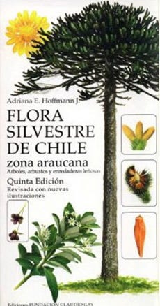 Libro, Audiolibro Home Home